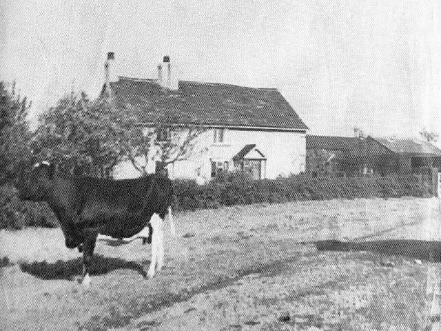 Thompson's Farm House (site of)